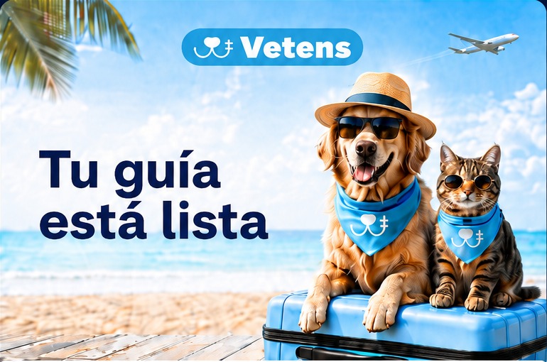Perro viajero en una escena de viaje asociada a Colombia
